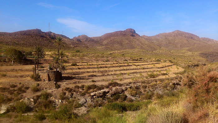 Lucainena de las torres