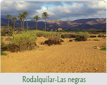 rodalquilar-las negras
